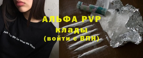 дживик Белокуриха