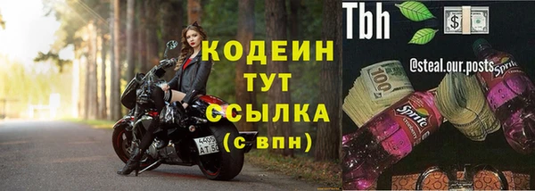 хмурый Лагань