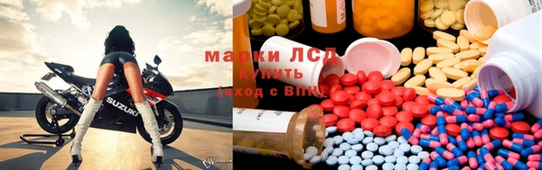 дживик Ладушкин