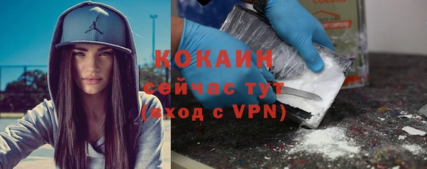 дживик Ладушкин