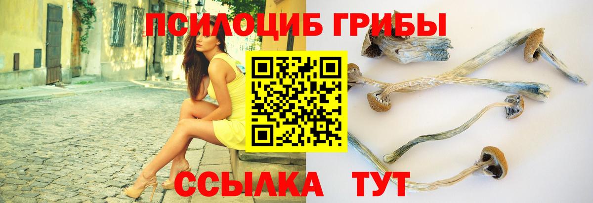 Маркс  Галлюциногенные грибы ЛСД  Вход с VPN 